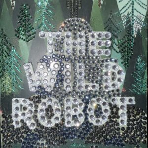 The Wild Robot Bedazzled Book